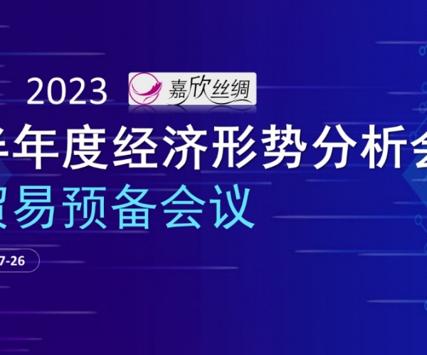 业务总额不变，业务质量提升 4118云顶集团丝绸召开2023半年度经济局势分析会业务预备会议